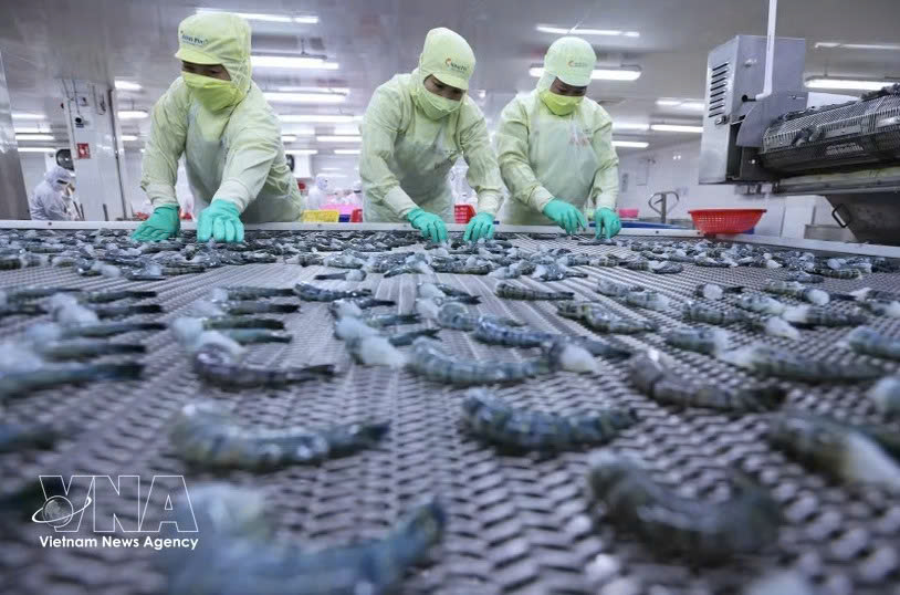 Seafood exports up 8% in Q1