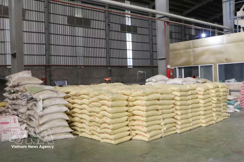Vietnam ships 5 million tonnes of rice abroad in first half