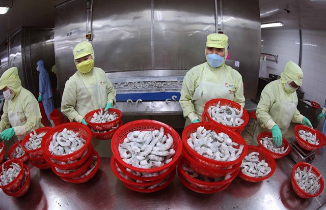 Vietnam Chemicals Group steps up trade promotion in South Africa