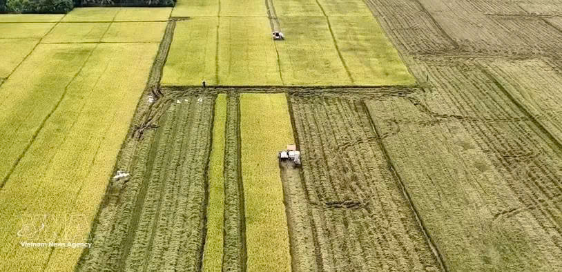 Vietnam seen as gateway for Canadian farm produce to ASEAN