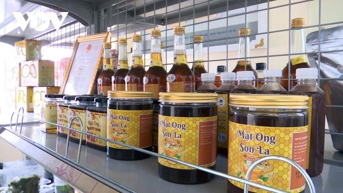 Beekeeping sector targets sustainable exports and higher-value honey