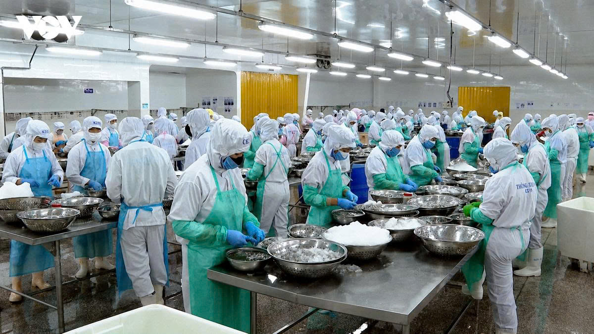 Vĩnh Long tăng cường mở rộng thị trường, thúc đẩy xuất khẩu