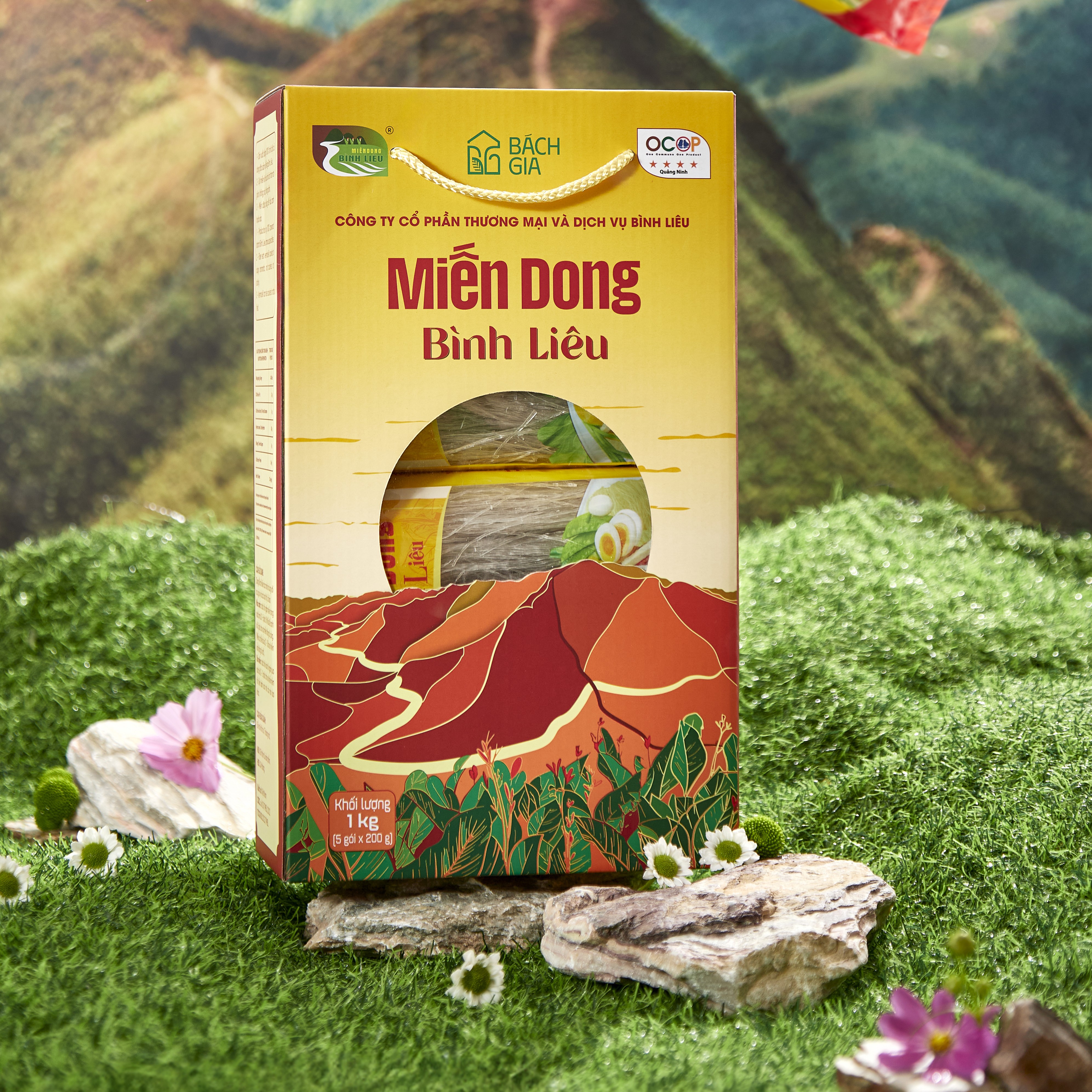 Binh Lieu Clear noodles (1kg Paper Box)