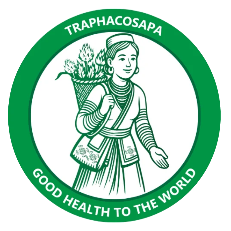 Image of partner TraphacoSapa One Member Limited Liability Company.