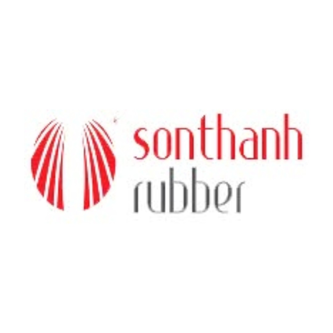 Image of partner Son Thanh Co., Ltd
