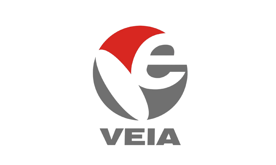 Vietnam Electronic Industries Association