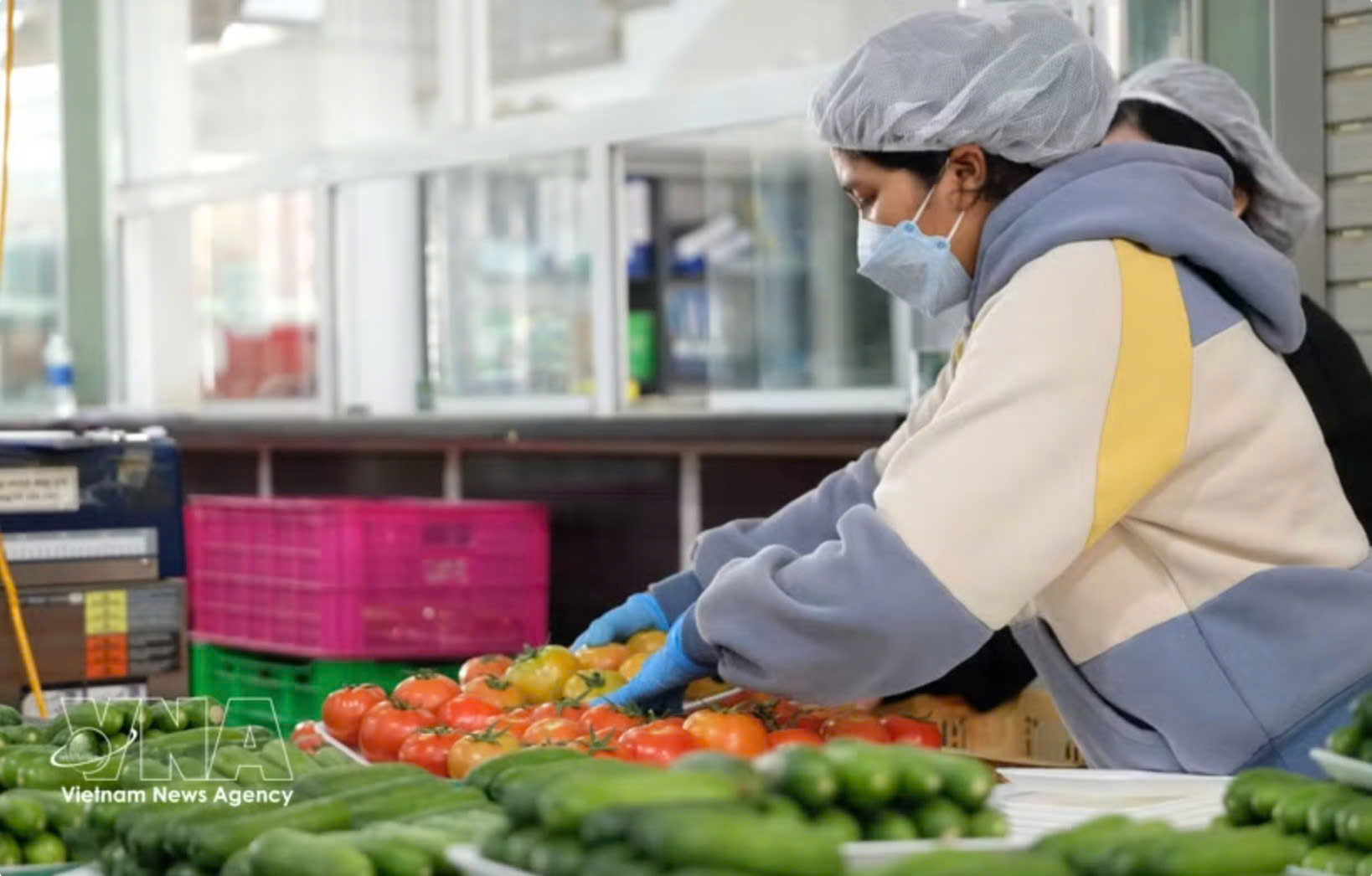 Vietnam’s fruit sector reaches new milestones