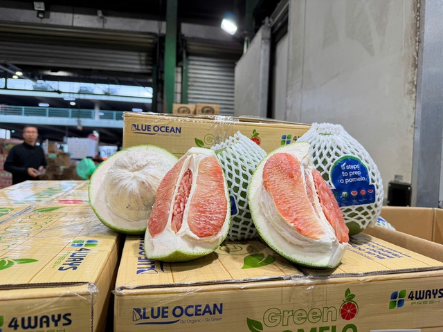 Viet Nam exports first shipment of fresh pomelos to Australia