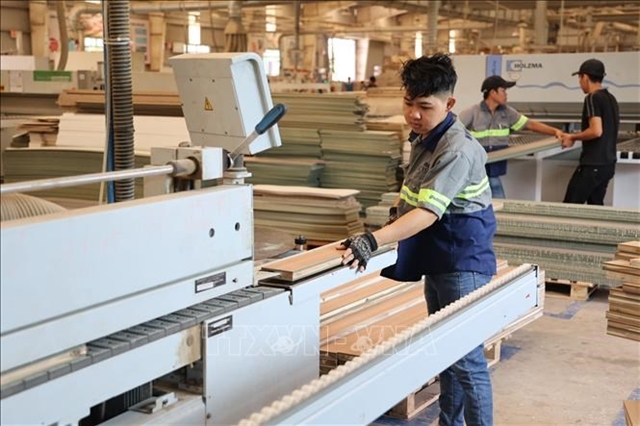 Việt Nam's wood firms seek clarity on VAT rules amid export concerns