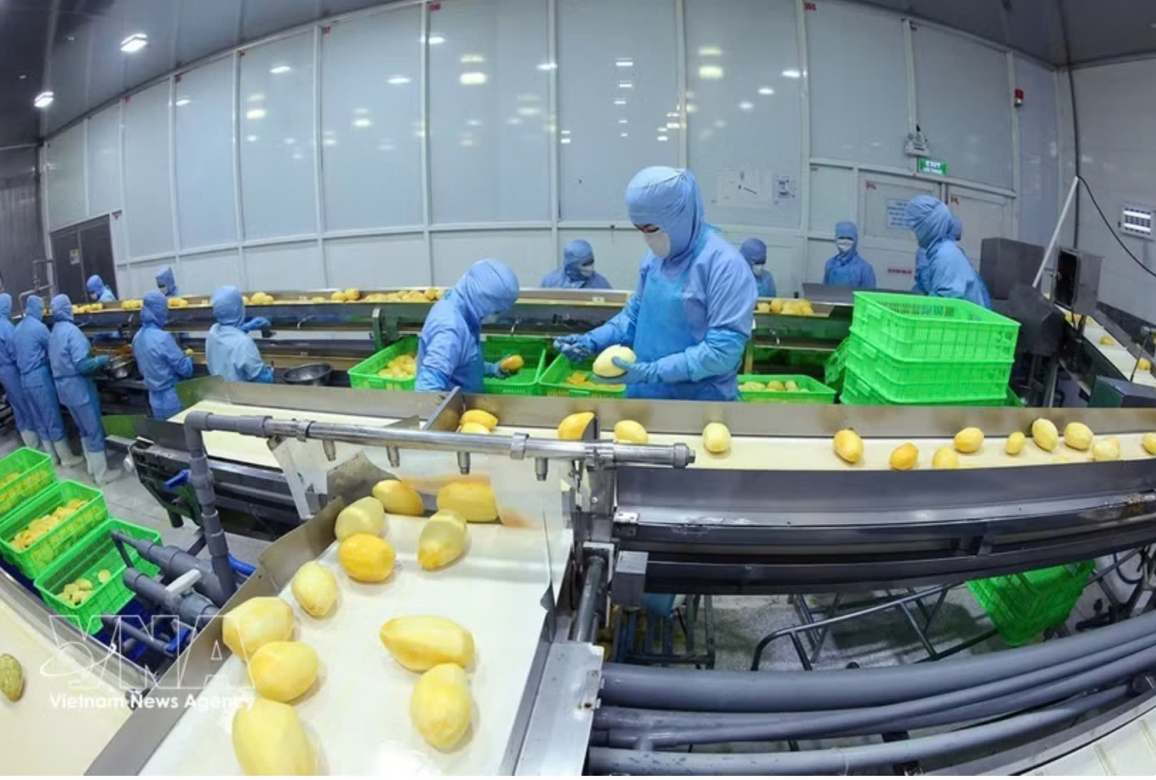 Agricultural exports seek to overcome technical barriers through digitalisation, technology
