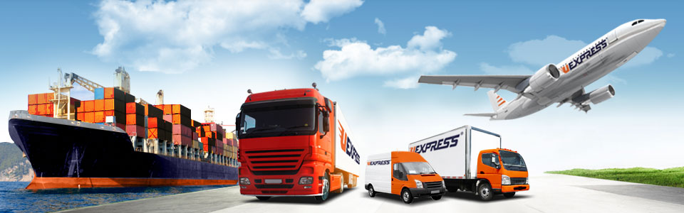 Logistics & Forwarding